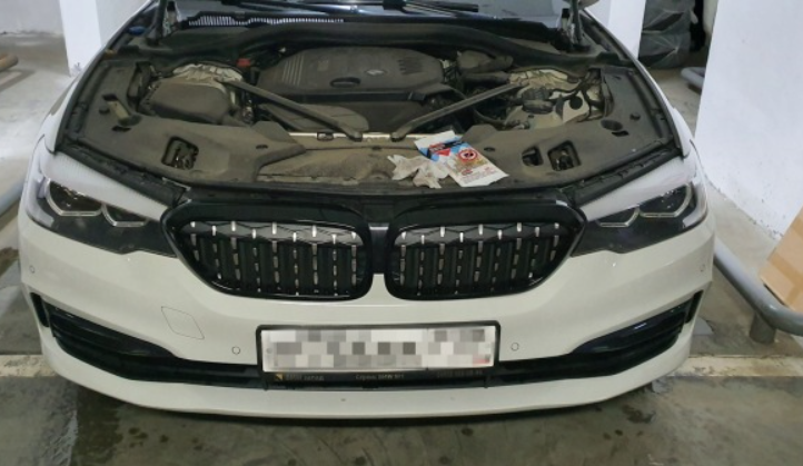 Grill atrapa nerki BMW 5 G30 2017-2020 Diamond